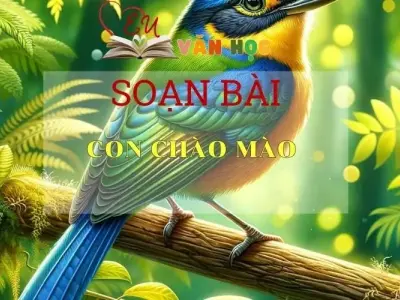 Soạn bài Con chào mào Ngữ văn 6 tập 1 Kết nối tri thức