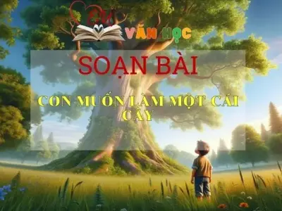 Soạn bài Con muốn làm một cái cây- Sách Chân Trời Sáng Tạo - Ngữ văn 6 (tập 2)
