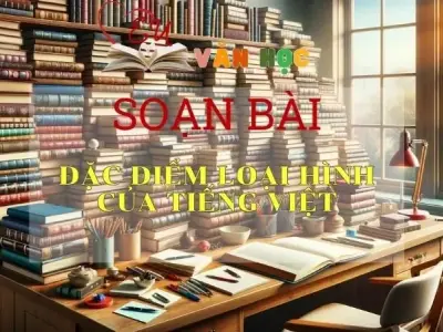 Soạn bài Đặc điểm loại hình của tiếng Việt - Ngữ Văn Lớp 11