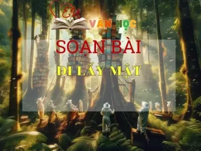Đi lấy mật - Kết nối tri thức - Ngữ văn lớp 7 tập 1