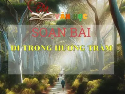 SOẠN BÀI ĐI TRONG HƯƠNG TRÀM - SÁCH CÁNH DIỀU LỚP 10 TẬP 2