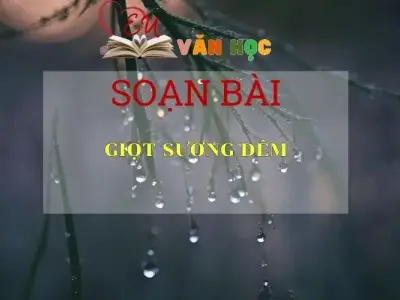 Soạn bài Giọt Sương Đêm - Sách Chân Trời Sáng Tạo Ngữ Văn 6