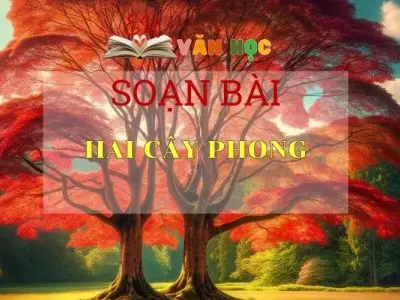 Soạn bài Hai Cây Phong - Sách Chân Trời Sáng Tạo Ngữ Văn 6 ( Tập 2)