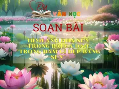 Soạn bài Hình ảnh hoa sen trong bài ca dao Trong đầm gì đẹp bằng sen - Sách Chân trời sáng tạo Ngữ Văn 7