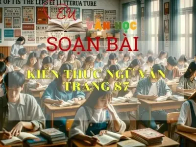 Soạn bài Kiến thức ngữ văn trang 87 - Sách Cánh Diều Lớp 11