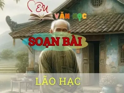 Soạn bài Lão Hạc - Ngữ văn 8 Cánh Diều