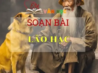Soạn bài Lão Hạc - Ngữ văn 8