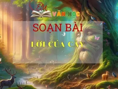 Soạn bài Lời của cây - Sách Chân trời sáng tạo Ngữ Văn 7