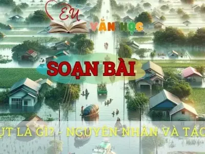 Soạn bài Lũ lụt là gì? Nguyên nhân và tác hại - Ngữ văn 8 tập 1 Cánh diều