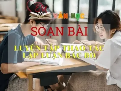 Soạn bài Luyện tập thao tác lập luận bác bỏ - Ngữ Văn Lớp 11
