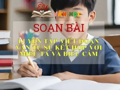 Soạn bài Luyện tập viết đoạn văn tự sự kết hợp với miêu tả và biểu cảm - Ngữ văn lớp 8