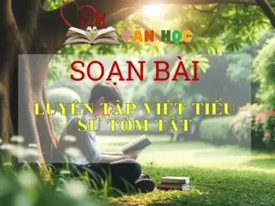Soạn bài Luyện tập viết tiểu sử tóm tắt - Ngữ Văn Lớp 11