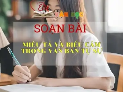 Soạn bài Miêu tả và biểu cảm trong văn bản tự sự - Ngữ văn lớp 8 