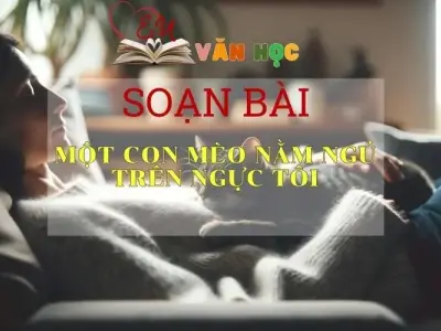 Soạn bài Một con mèo nằm ngủ trên ngực tôi - Sách Chân trời sáng tạo lớp 7