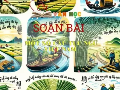 Soạn bài Một số câu tục ngữ Việt Nam trang 12 - Kết nối tri thức - Ngữ văn lớp 7 tập 2