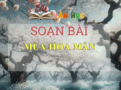 SOẠN BÀI MÙA HOA MẬN - SÁCH CÁNH DIỀU LỚP 10 TẬP 2