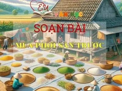 Soạn bài Mùa phơi sân trước - Sách Chân trời sáng tạo lớp 7