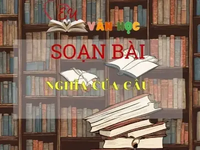 Soạn bài Nghĩa của câu - Ngữ Văn Lớp 11