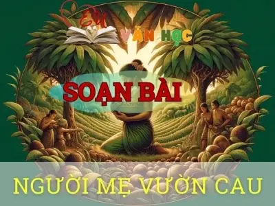 Soạn bài Người mẹ vườn cau - Ngữ văn 8 tập 1 Cánh diều 