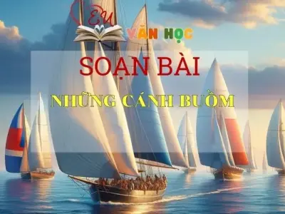 Soạn bài Những Cánh Buồm - Sách Chân Trời Sáng Tạo Ngữ Văn 6 (tập 2)