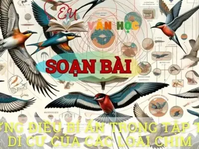 Soạn bài Những điều bí ẩn trong tập tính di cư của các loài chim - ngữ văn 8 tập 1 - sách Chân trời sáng tạo