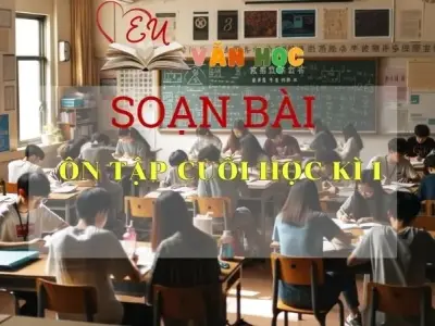 Soạn bài Ôn tập cuối học kì I - Sách Chân trời sáng tạo lớp 7
