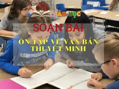 Soạn bài Ôn tập về văn bản thuyết minh - Ngữ văn lớp 8