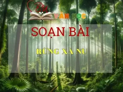 Soạn bài Rừng xà nu - Ngữ Văn Lớp 12