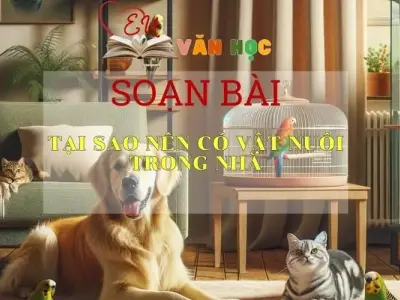 Soạn bài Tại sao nên có vật nuôi trong nhà Sách Cánh Diều - Ngữ Văn Lớp 6