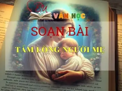 Soạn bài Tấm lòng người mẹ - Sách Cánh Diều Lớp 11
