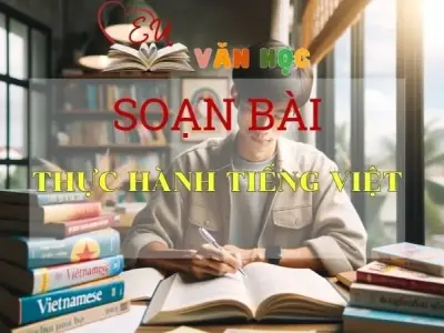 Soạn bài Thực hành tiếng Việt - Sách Cánh Diều Lớp 11
