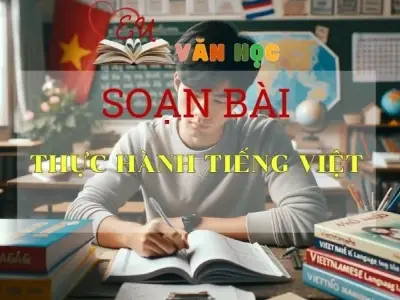 Soạn bài Thực hành tiếng Việt - Sách Cánh Diều Lớp 11