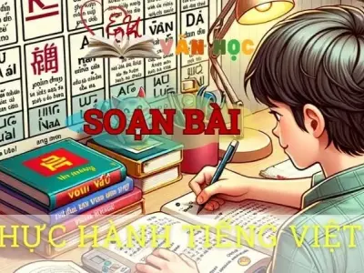 Soạn bài Thực hành tiếng việt ( Bài 2) - ngữ văn 8 tập 1- sách Chân trời sáng tạo
