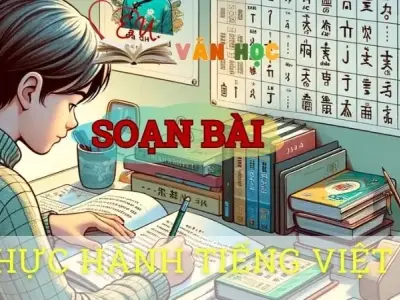 Soạn bài Thực hành tiếng việt (Bài 3) - ngữ văn 8 tập 1- sách Chân trời sáng tạo