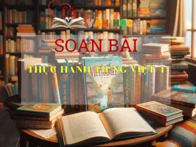 Soạn bài Thực hành tiếng Việt 4 - Sách Chân Trời Sáng Tạo trang 96 - Ngữ Văn 6 (tập 1)