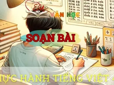 Soạn bài Thực hành tiếng việt (Bài 4) - ngữ văn 8 tập 1- Chân trời sáng tạo