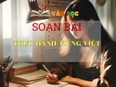 Soạn bài Thực hành tiếng việt - Sách Chân Trời Sáng Tạo