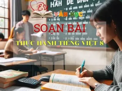 Soạn bài Thực hành tiếng việt ( tr 42 ) - ngữ văn 7 tập 2 - sách Cánh Diều