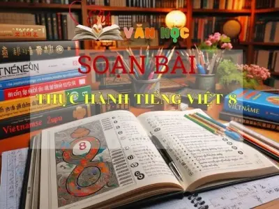Soạn bài Thực hành tiếng Việt 8 - Sách Chân Trời Sáng Tạo trang 47 - Ngữ Văn 6 (tập 2)