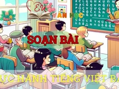 Soạn bài Thực hành tiếng việt ( Bài 1) - ngữ văn 8 tập 1- sách Chân trời sáng tạo