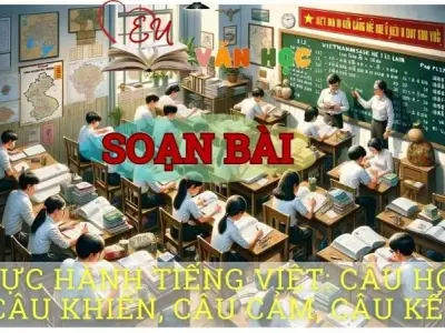Soạn bài Thực hành tiếng Việt Câu hỏi, câu khiến, câu cảm, câu kể - Ngữ văn 8 Cánh Diều