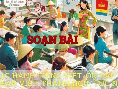 Soạn bài Thực hành tiếng Việt: Ôn tập về từ Hán Việt, thành ngữ, tục ngữ - Ngữ văn 8 tập 1 Cánh diều