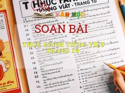 Soạn bài Thực hành tiếng Việt trang 10 - Kết nối tri thức- Ngữ văn lớp 7 tập 2