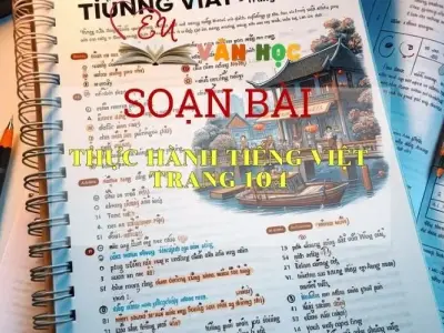 SOẠN VĂN BÀI THỰC HÀNH TIẾNG VIỆT TRANG 104- SÁCH CÁNH DIỀU LỚP 10 TẬP 1