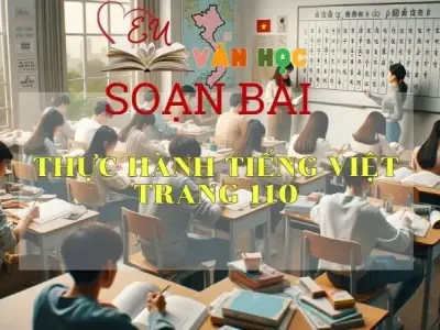 Soạn bài Thực hành tiếng Việt trang 110 - Sách Cánh Diều Lớp 11