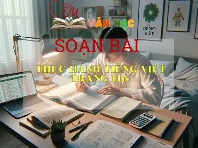 Soạn bài Thực hành tiếng Việt trang 116 - Kết nối tri thức - Ngữ văn lớp 7 tập 1 