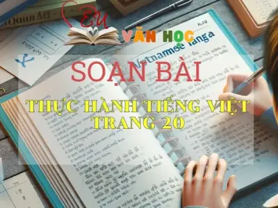 SOẠN BÀI THỰC HÀNH TIẾNG VIỆT TRANG 20- SÁCH CÁNH DIỀU LỚP 10 TẬP 2