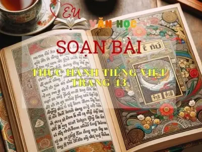 Soạn bài Thực hành tiếng Việt trang 43 -Ngữ văn 6 Kết nối tri thức