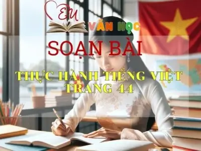 Soạn bài Thực hành tiếng Việt trang 44 - Sách Cánh Diều Lớp 11