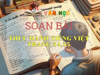 SOẠN VĂN BÀI THỰC HÀNH TIẾNG VIỆT TRANG 54, 55 - SÁCH CÁNH DIỀU LỚP 10 TẬP 2